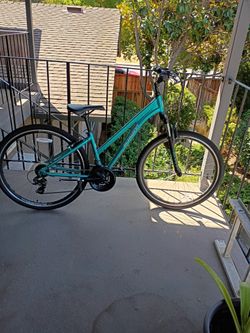 Schwinn Bike