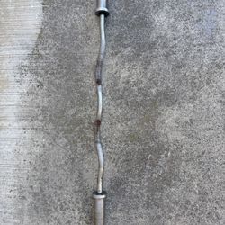 Bicep Bar
