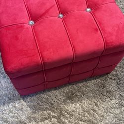 Hot Pink Trunk 