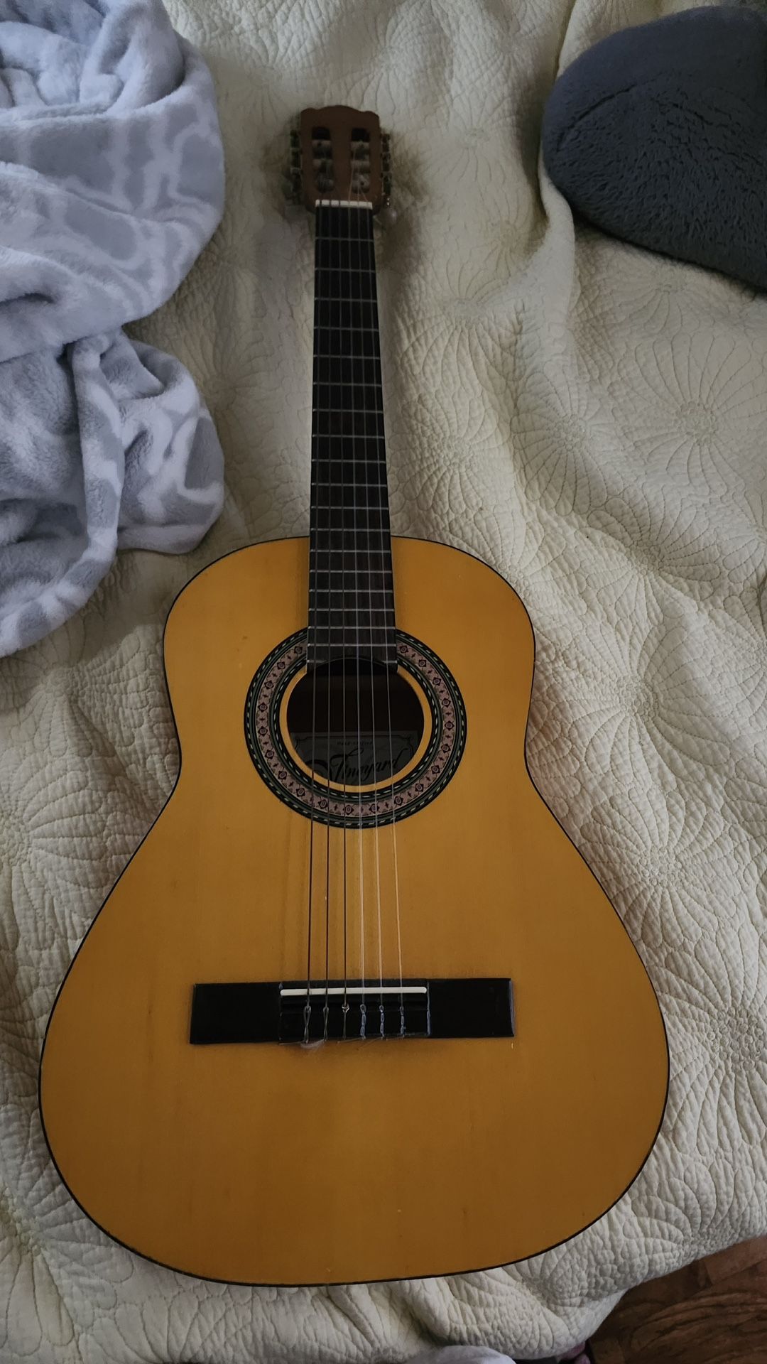 Acoustic Guitar