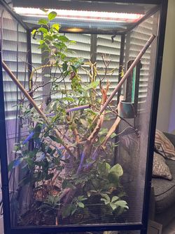 Chameleon cage
