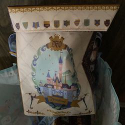 Magic Key Disney Drink Food Carrying Bag 