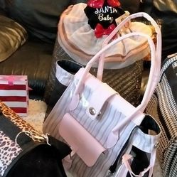 Pet Carriers And Doggie Xmas Dress (Only One Dress)