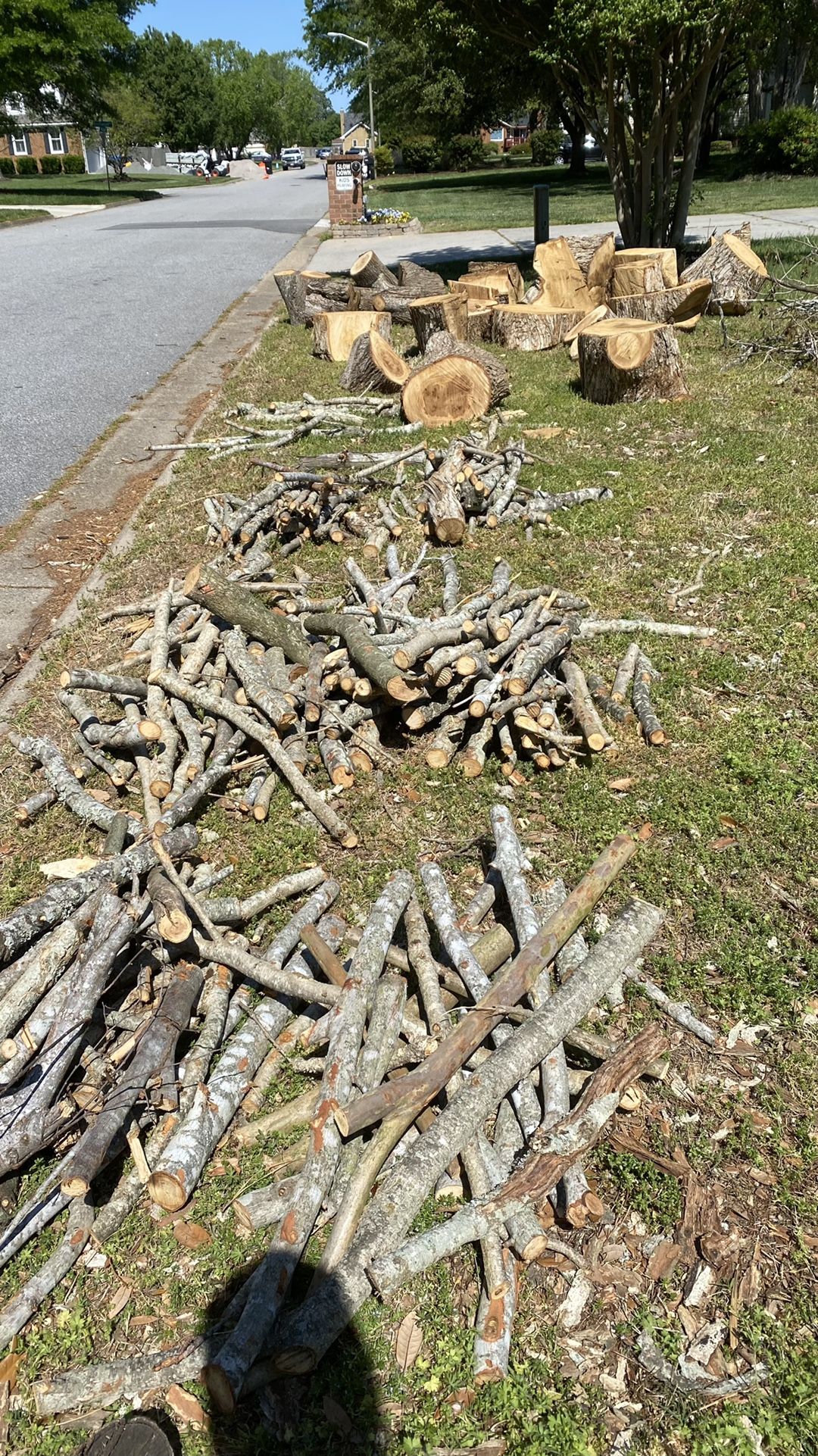 Free firewood
