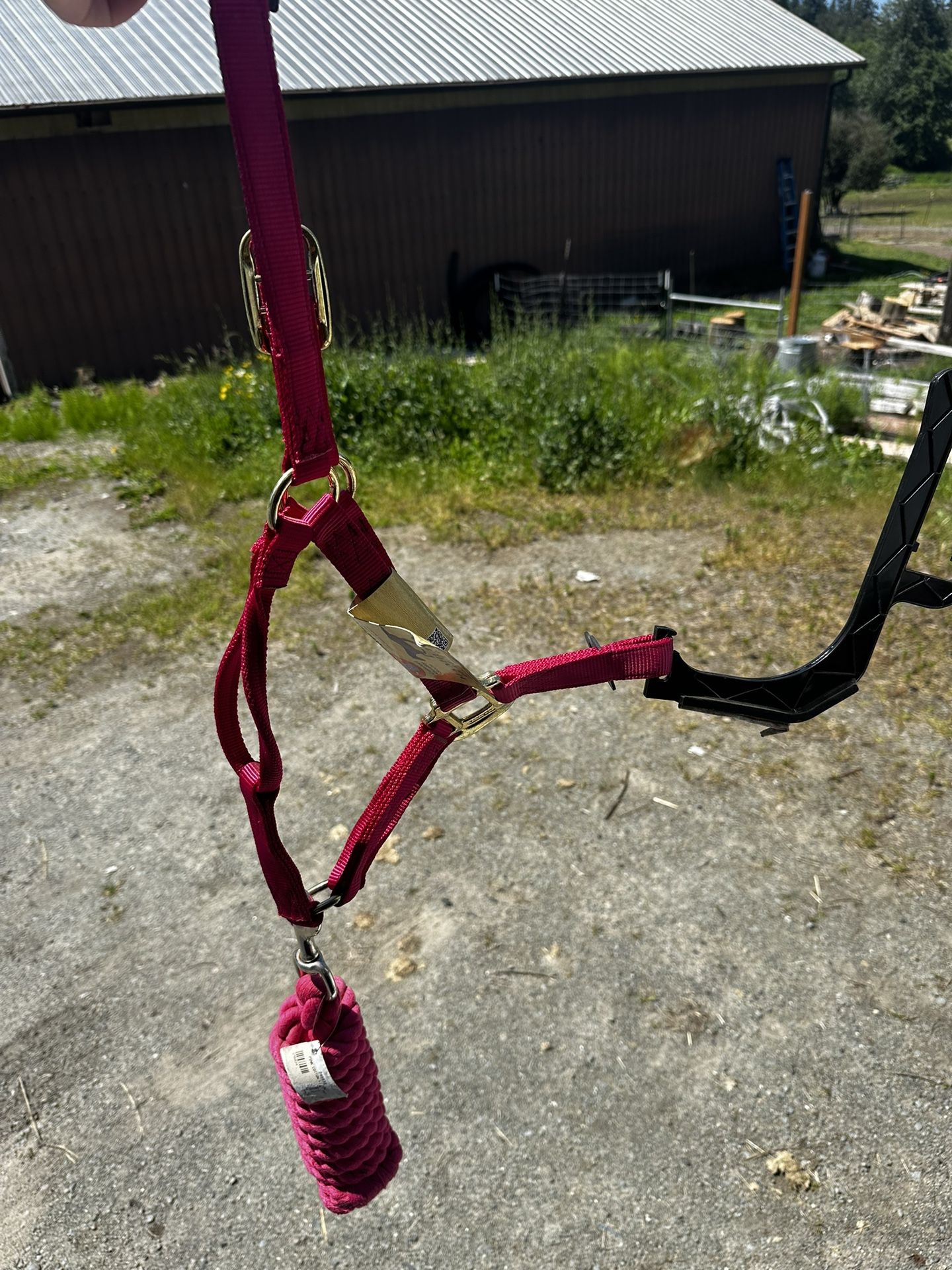 Halter
