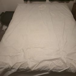 queen bed and  box spring