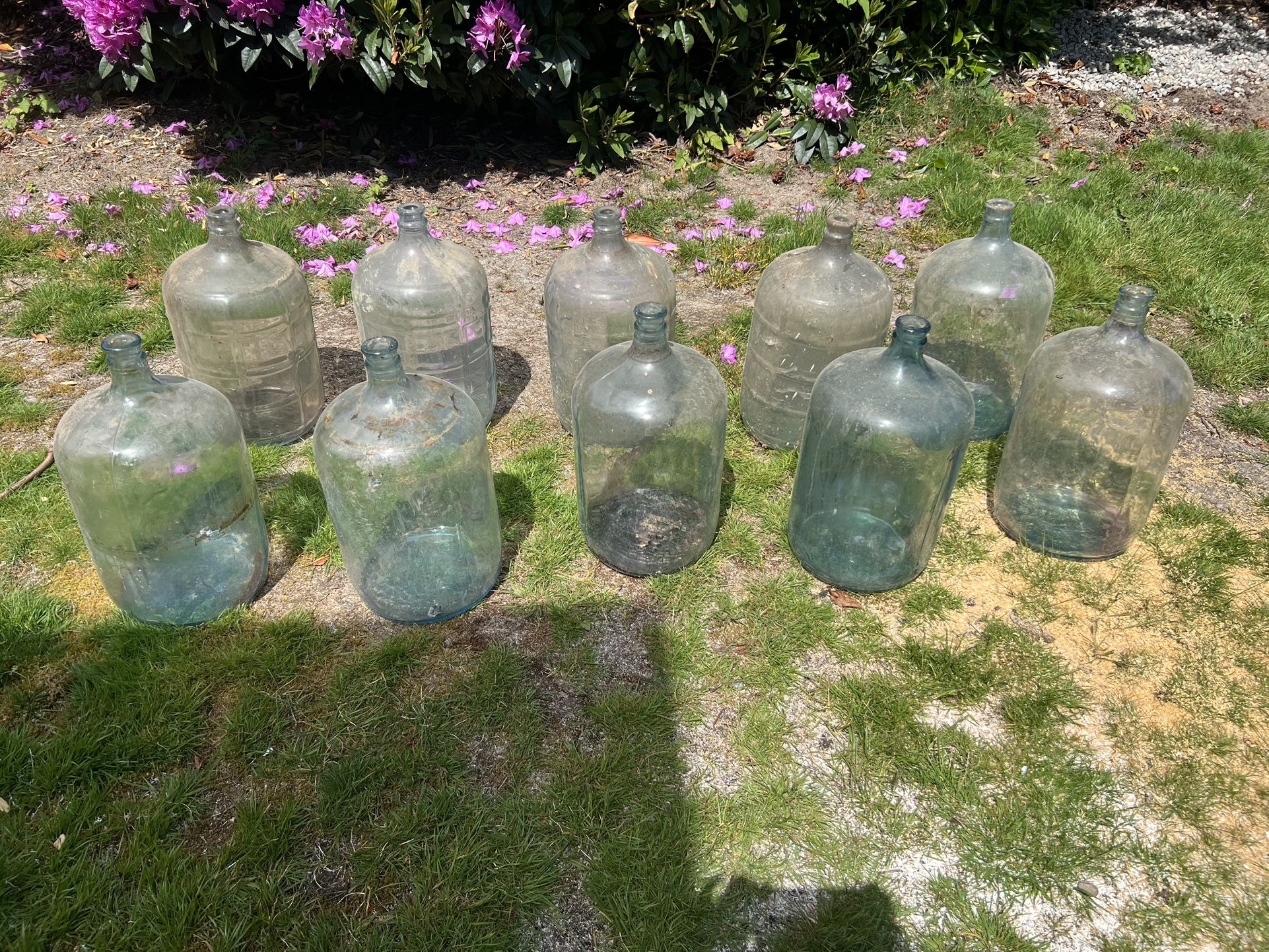 5 Gallon Glass Winemaking Bottles