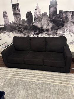 Couch with pullout bed