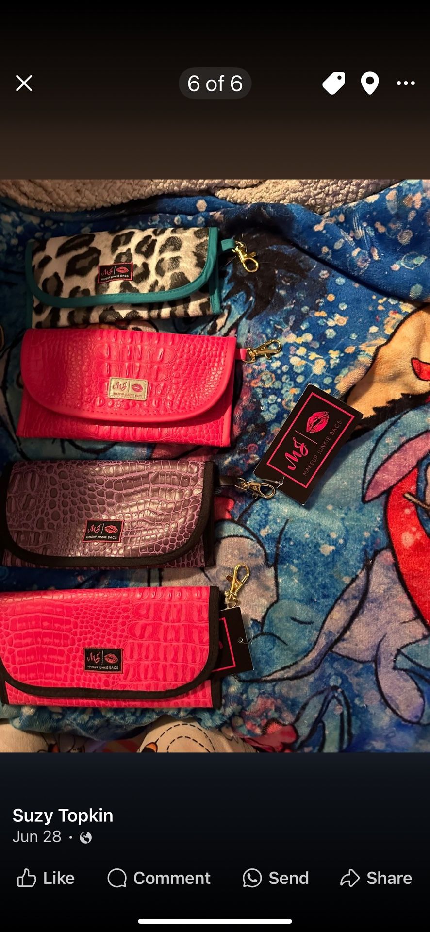 Brand New Makeup Junkie Eyeglass Cases $35 Each