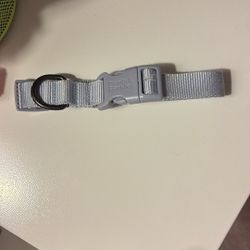 Dog Collar