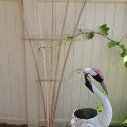 Cedar wood trellis. New.