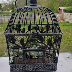 Bird Cage With Live Succulents