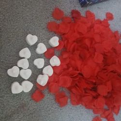 LED Heart Shaped Lights With 100s Of Rose Petals