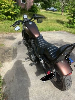 2019 harley davidson sportster