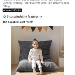 Bean Bag  Bed Chair $30