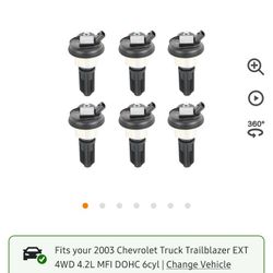 Brand New Trailblazer Coils