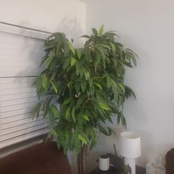 Faux Tree, Artificial Tree, Fake Plant