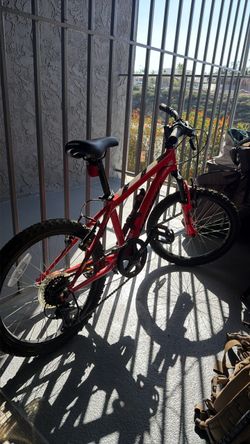 Mountain Bike Kids 20” Bike