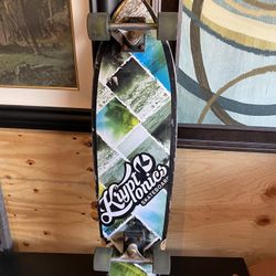 Kryptonics Skateboards California Since 1965 Bravo Sports Blue Flowers 35”