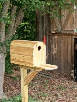 Squirrel House 🐿️