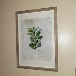 Glass framed picture 