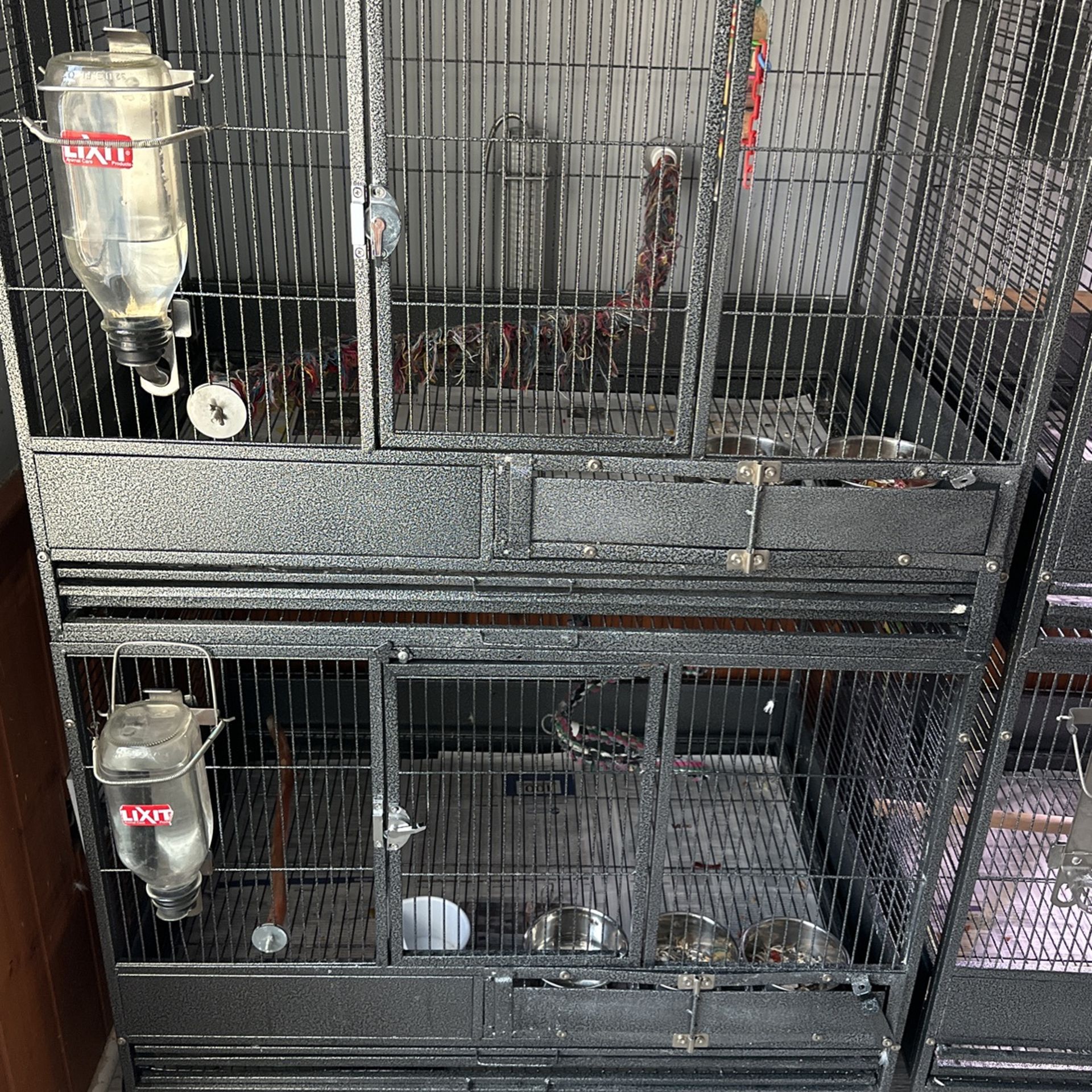 Bird Cage