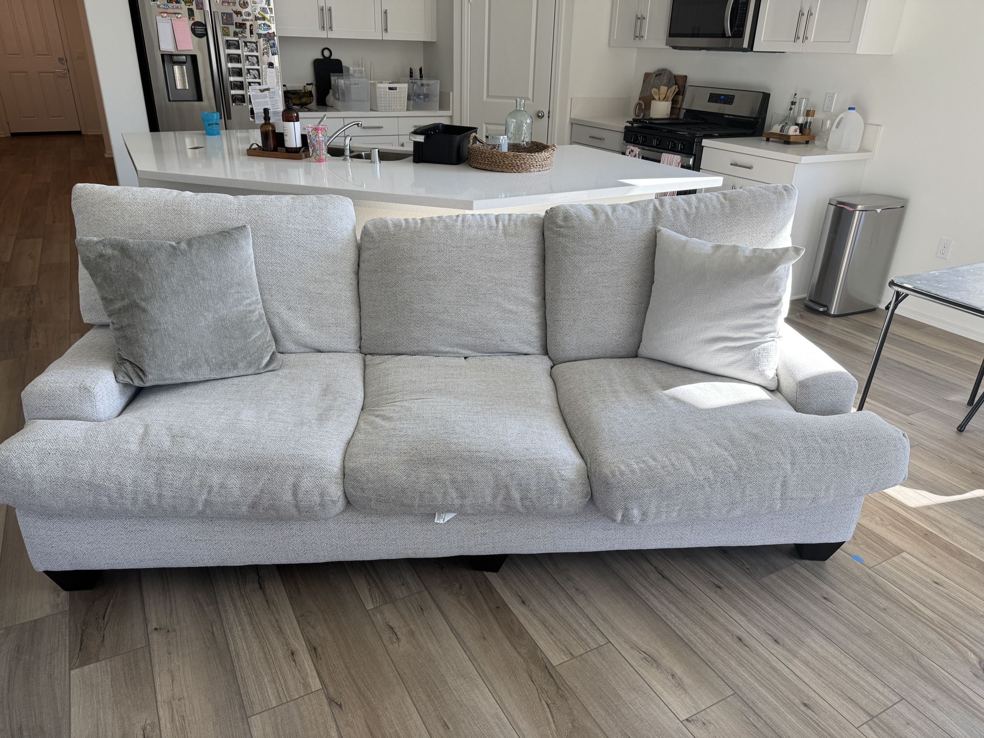LOVESEAT and COUCH SET