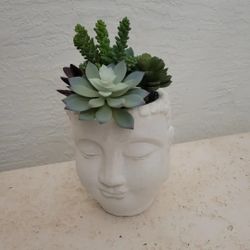 Concrete Buddha Head Planter Pot /Cement Pots