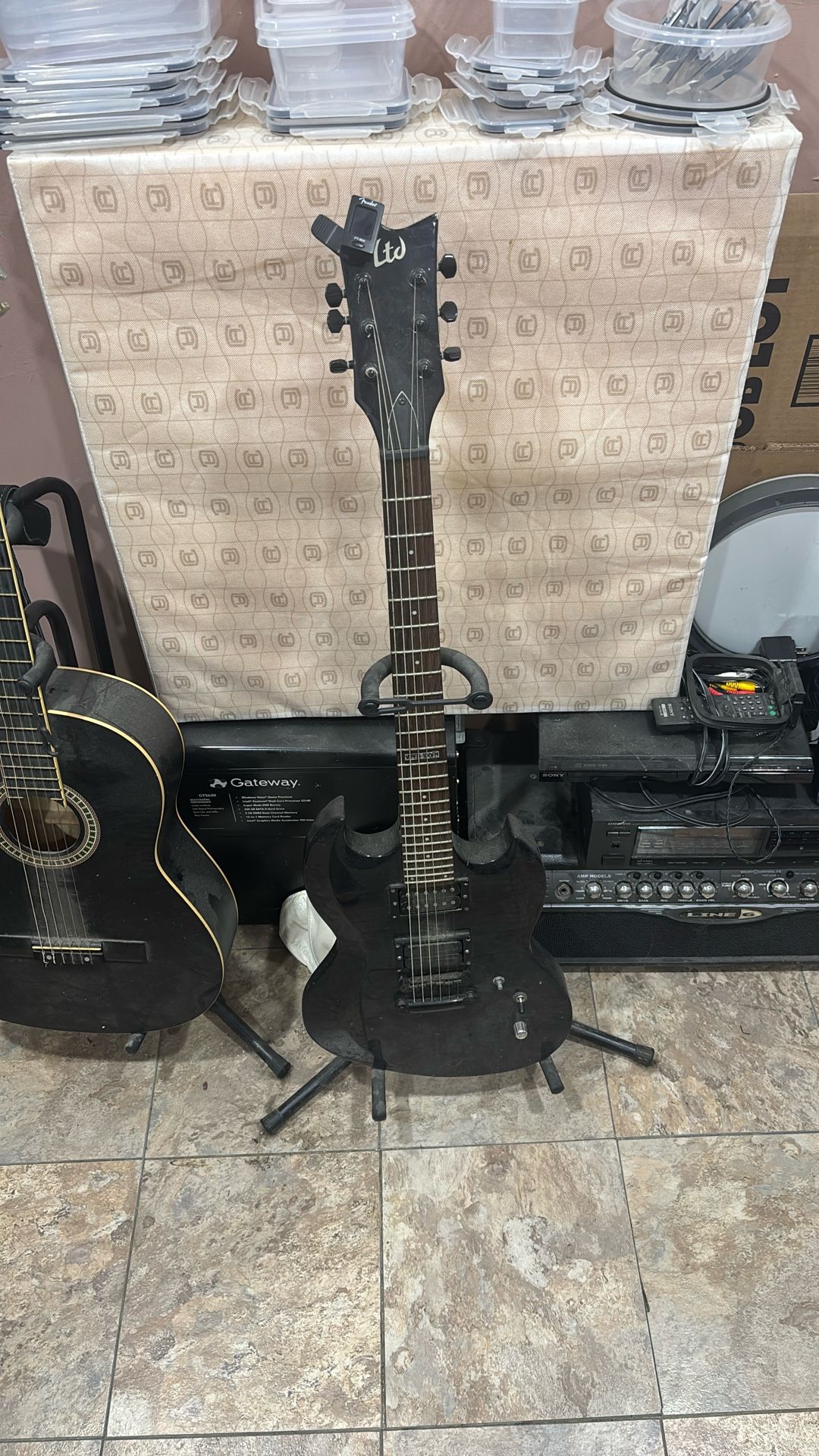 LTD Guitar