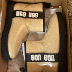 Classic Clear Uggs 