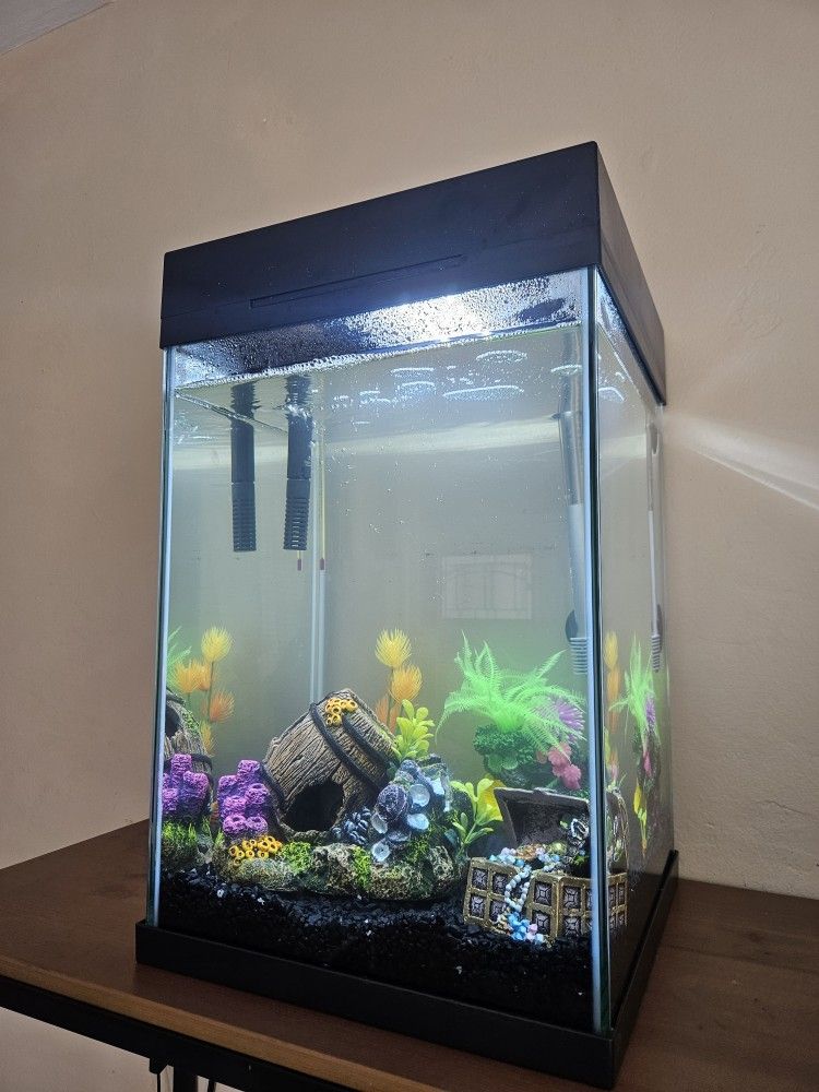 Fish Tank
