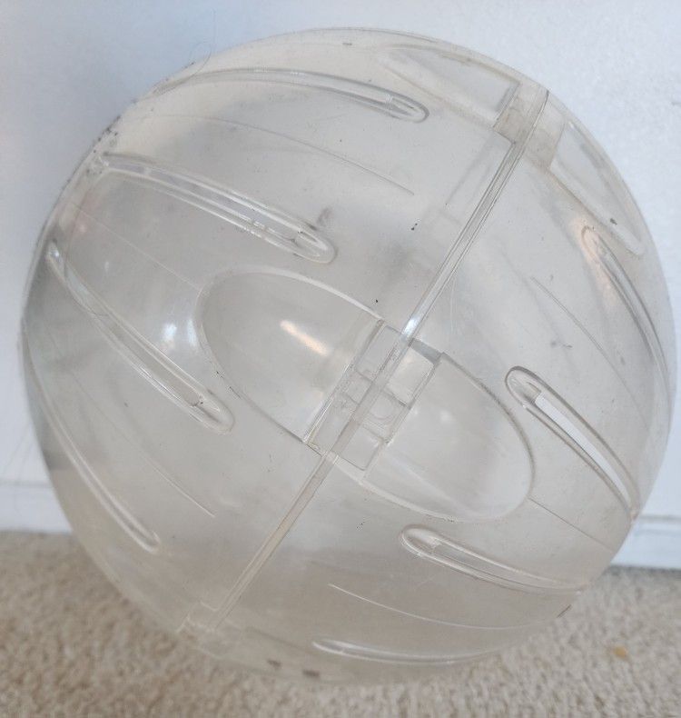Large Hamster Ball