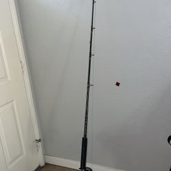 PENNY Rival Rod 