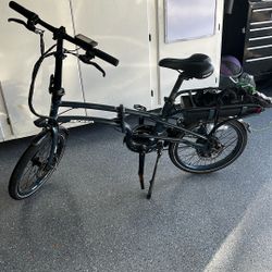 PEDEGO Electric Bike