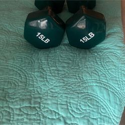15 Pound Weights 
