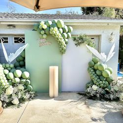 Balloon Backdrop With LED Butterflies