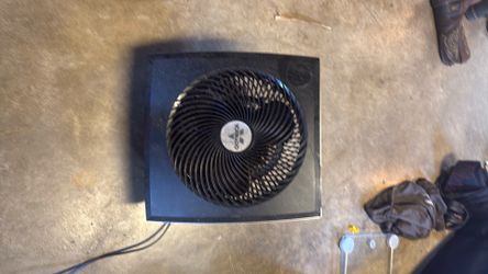 vornado que circulator