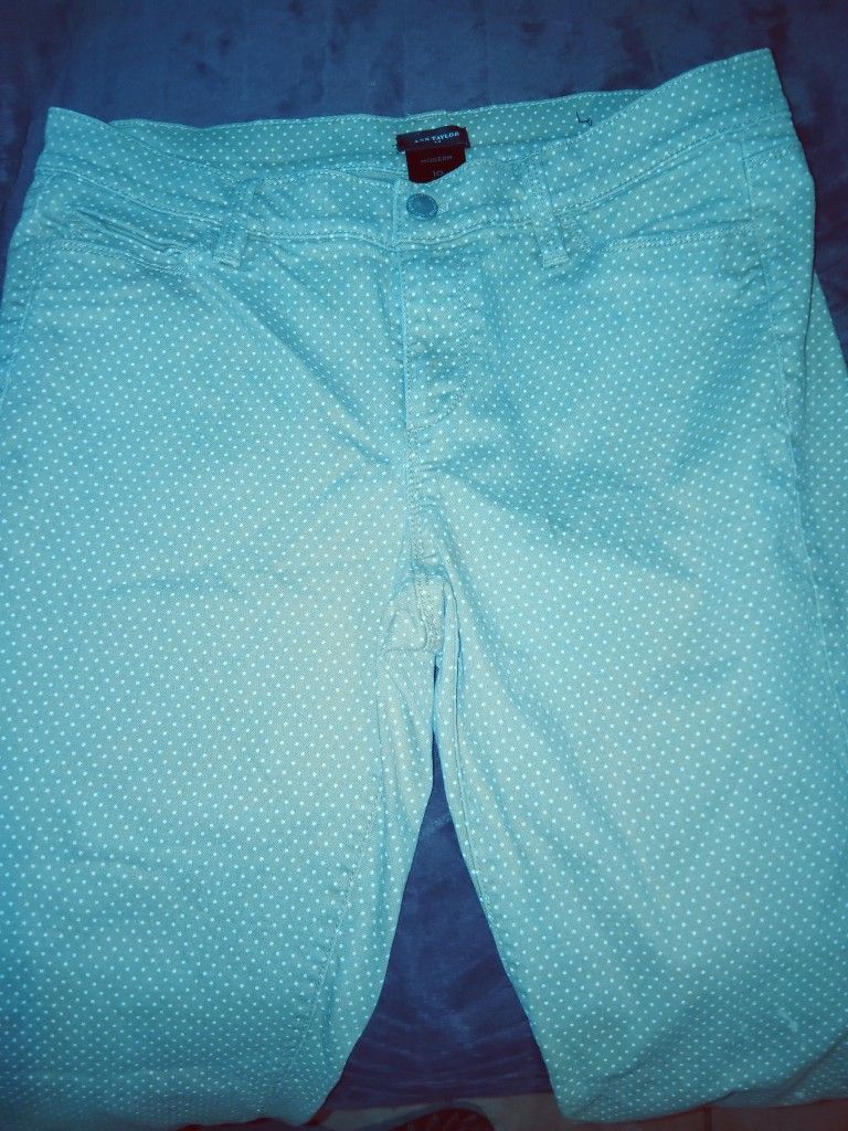 Ann Taylor Ladies Pants 