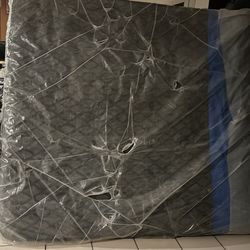 Sealy 14” pillow top mattress