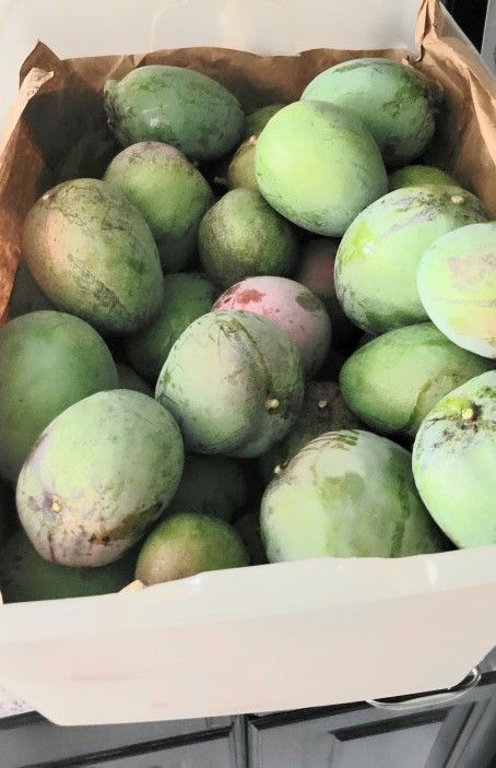 Sweet Mangos☆Large $2 ☆Small $1.50 ☆ FIRM *PLEASE READ DESCRIPTION *