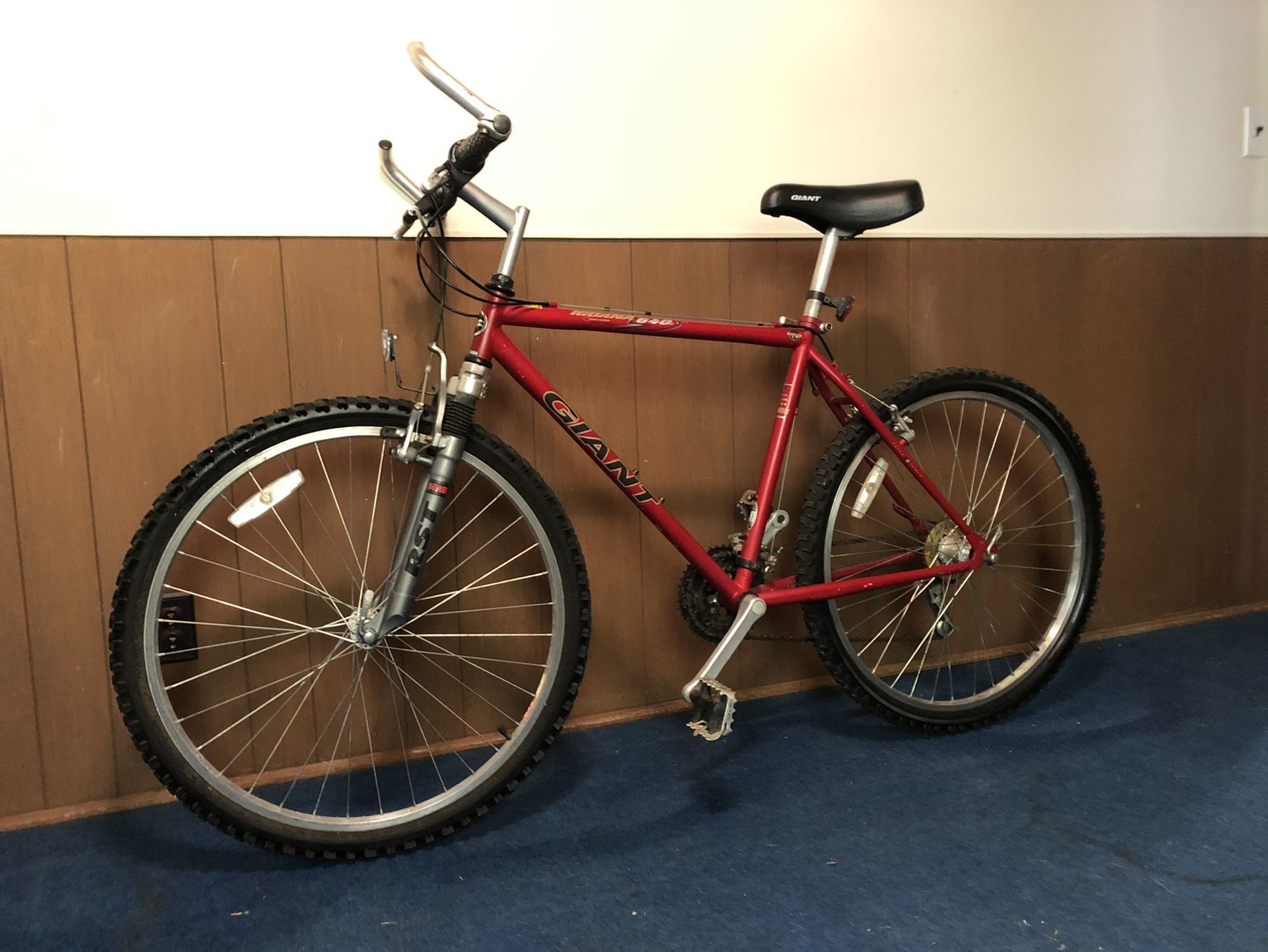 Giant iguana 640 mountain bike hotsell
