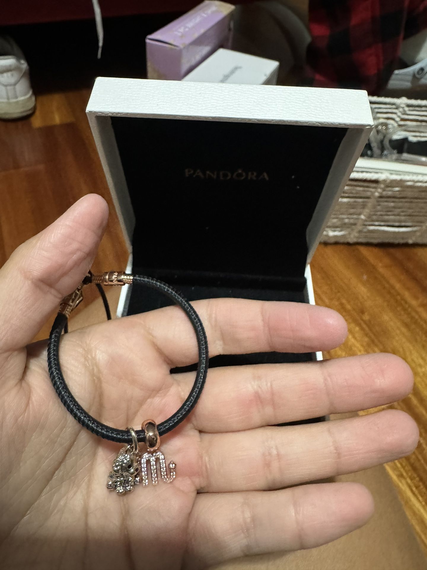 Pandora Charm Bracelet
