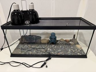 Aquatic Turtle Tank