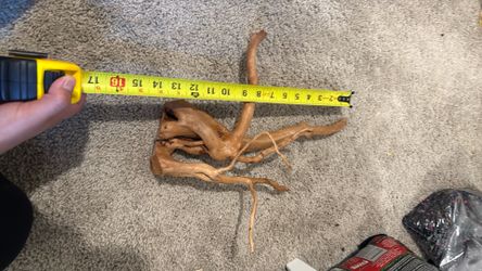 Spider wood
