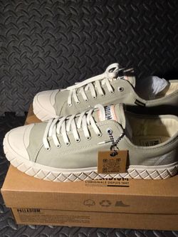 Palladium ACE