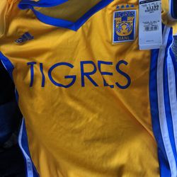 Tigres De Mujer Small