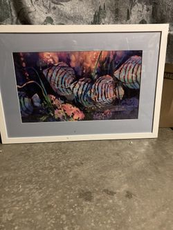 Photo Of Fish Chilling 