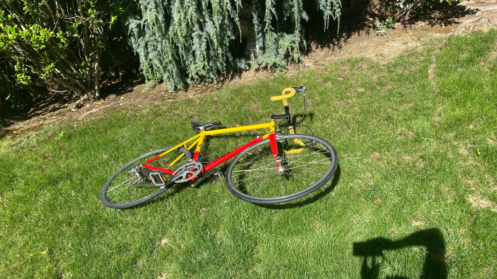 Aquila Steel Road Bike Durace Shimano Components