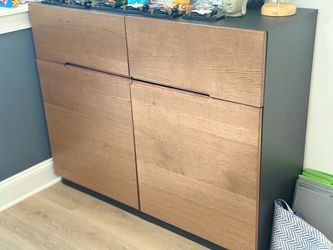 Modern Two-Door Cabinet with Wood Front