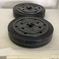 Two 15 Pound Vinyl Weider Weights